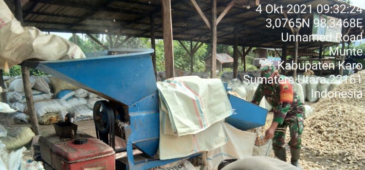 Babinsa Koramil 06/MT Dampingi Petani Dalam Melaksanakan Penggilingan Jagung Hasil Panen
